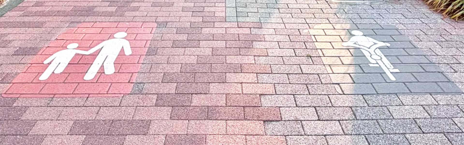 製品紹介項目の背景4